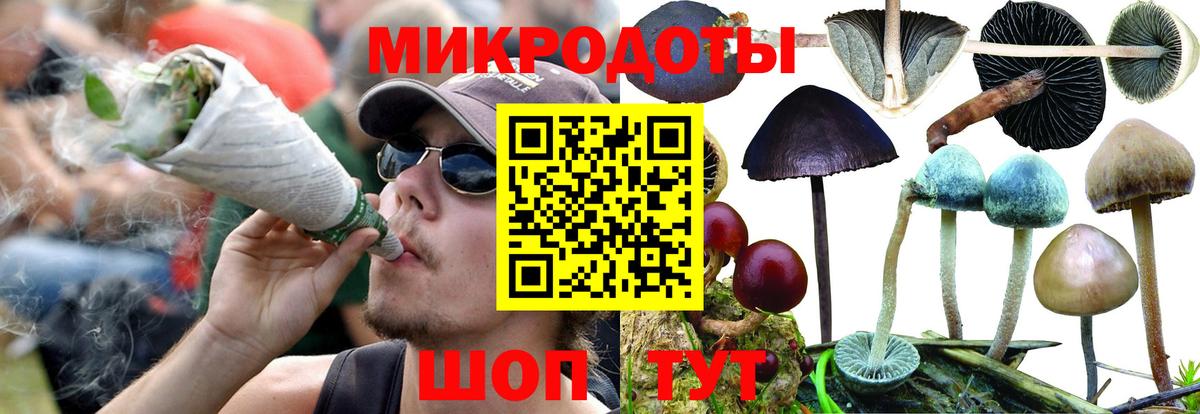 Галлюциногенные грибы мицелий Якутск