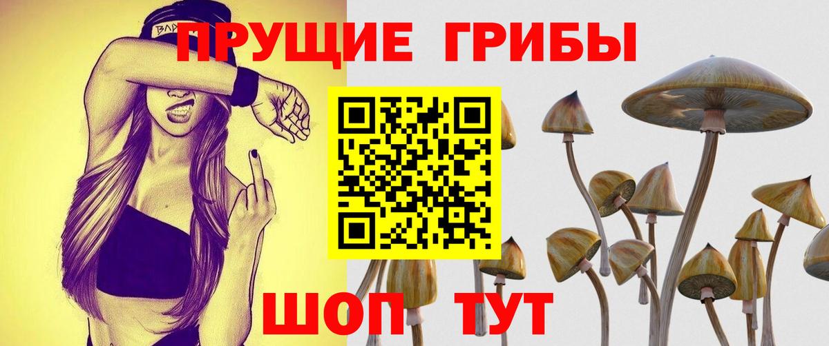 Галлюциногенные грибы ЛСД  Псилоцибиновые грибы GOLDEN TEACHER  как найти наркотики  Вход с VPN  Якутск 